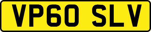 VP60SLV