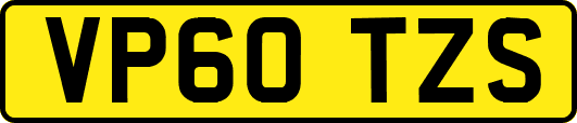 VP60TZS