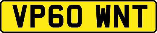 VP60WNT