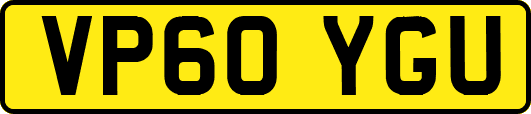 VP60YGU