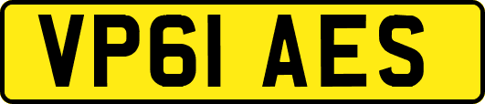 VP61AES