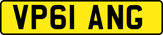VP61ANG