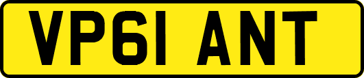 VP61ANT