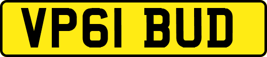 VP61BUD