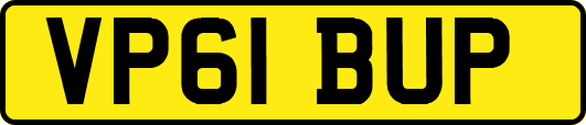 VP61BUP