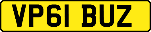 VP61BUZ