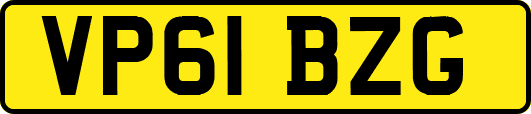 VP61BZG