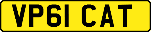 VP61CAT