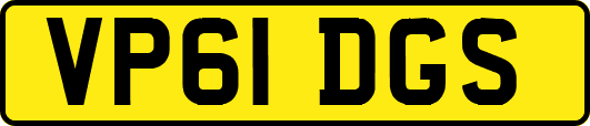 VP61DGS