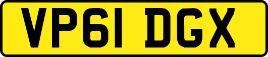 VP61DGX