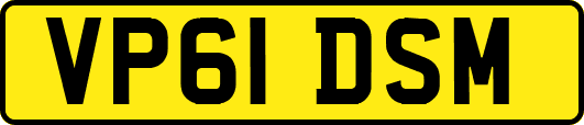 VP61DSM