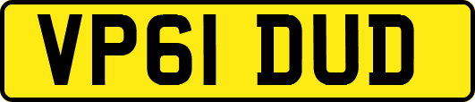 VP61DUD