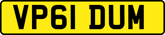VP61DUM