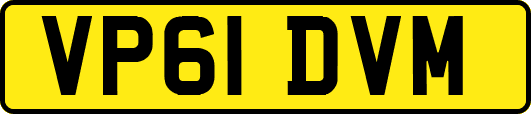 VP61DVM