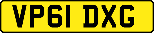 VP61DXG