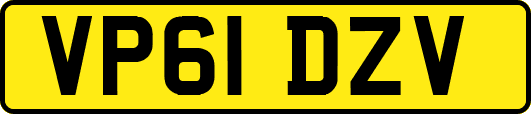 VP61DZV