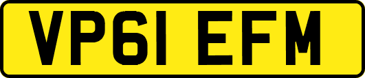 VP61EFM