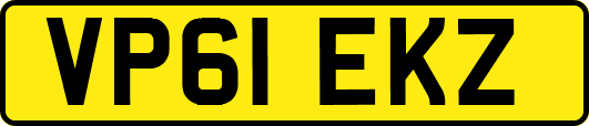 VP61EKZ