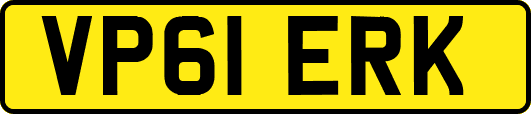 VP61ERK