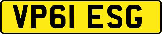 VP61ESG