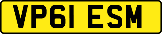 VP61ESM