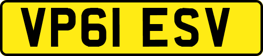 VP61ESV
