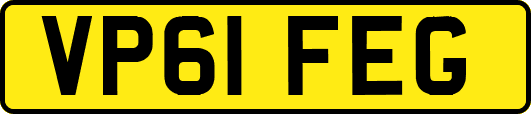 VP61FEG
