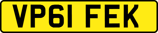 VP61FEK
