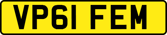 VP61FEM