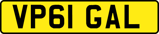 VP61GAL