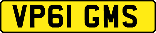 VP61GMS