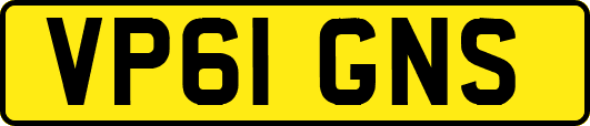 VP61GNS