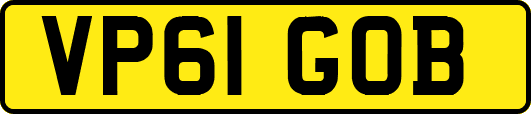 VP61GOB