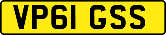 VP61GSS