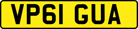 VP61GUA