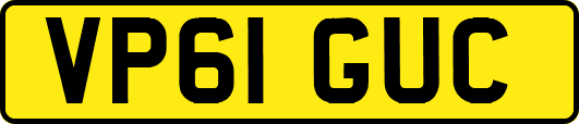 VP61GUC
