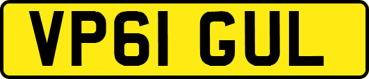 VP61GUL