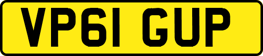 VP61GUP