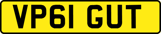 VP61GUT