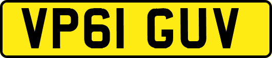 VP61GUV