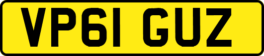VP61GUZ
