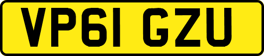 VP61GZU