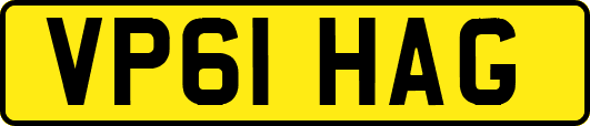 VP61HAG
