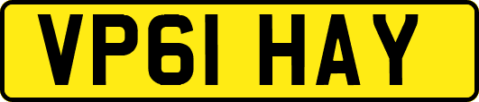 VP61HAY