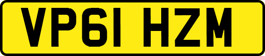 VP61HZM