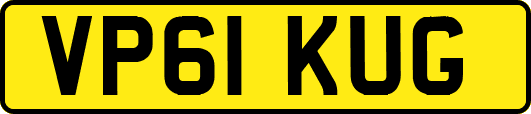 VP61KUG