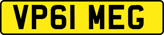 VP61MEG