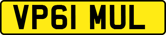 VP61MUL