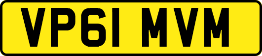 VP61MVM