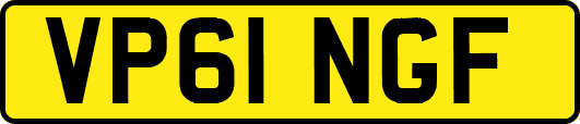 VP61NGF